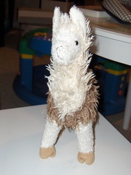 HPIM0381.JPG