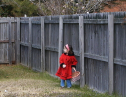 HPIM0467a.JPG